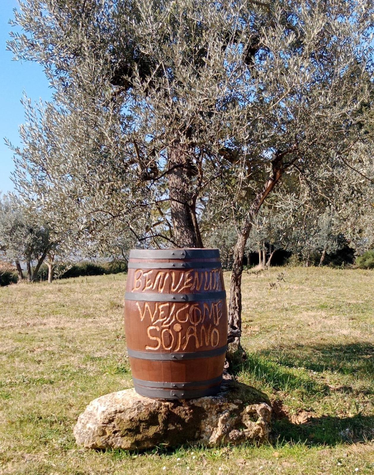Agriturismo Soiano Famiglia Rolfini Монтайоне Екстериор снимка